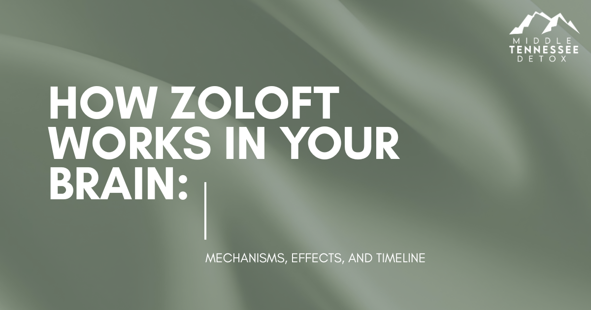 how-zoloft-works-brain-mechanisms-effects-featured - Middle Tennessee Detox